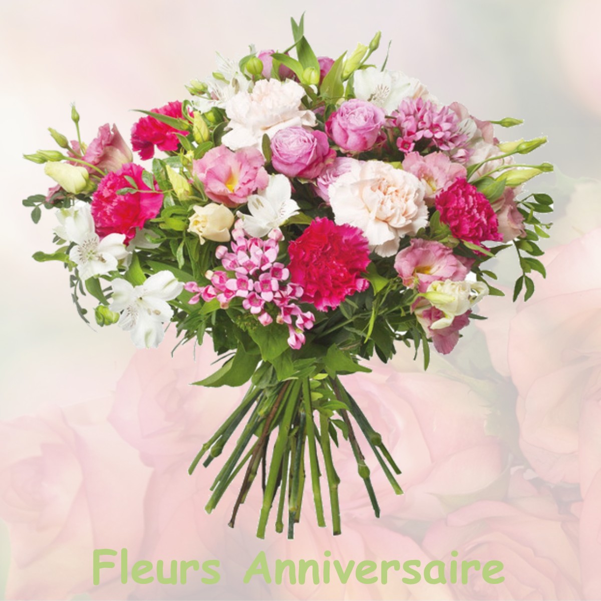 fleurs anniversaire BERLAIMONT